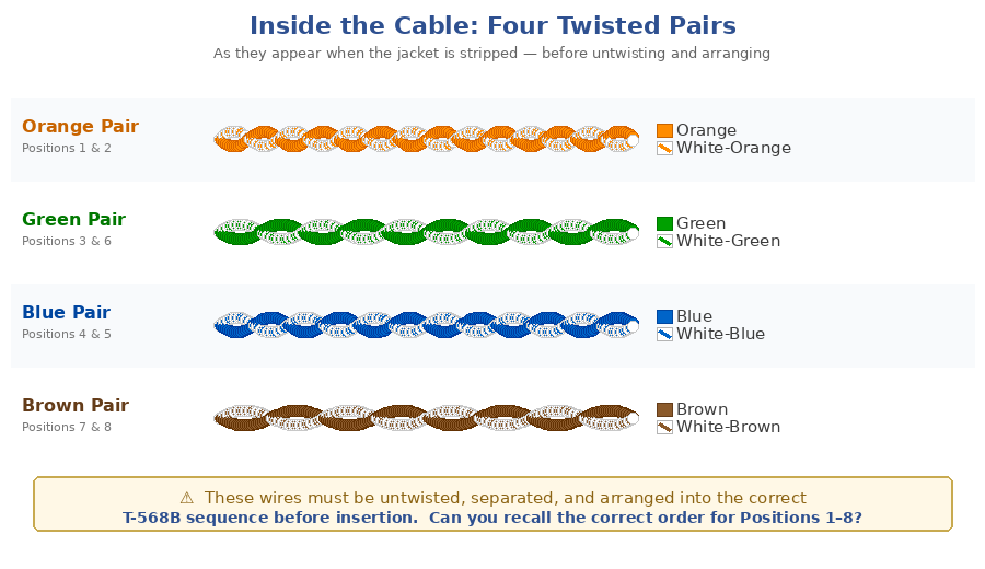 Four twisted pairs inside an Ethernet cable